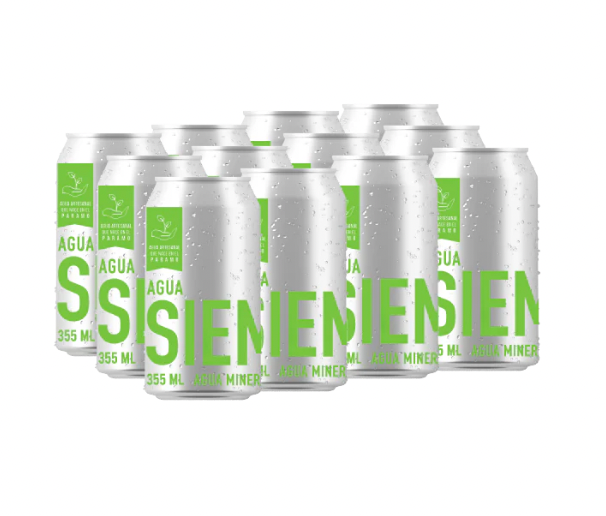 Agua Mineral Natural con Gas 355 ml x 6