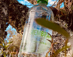 Agua Siembra